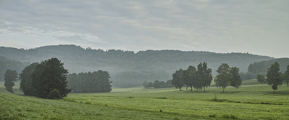 Odenwald.png