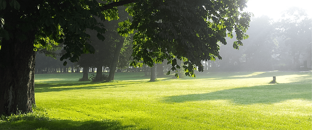 Park Schönbusch.png