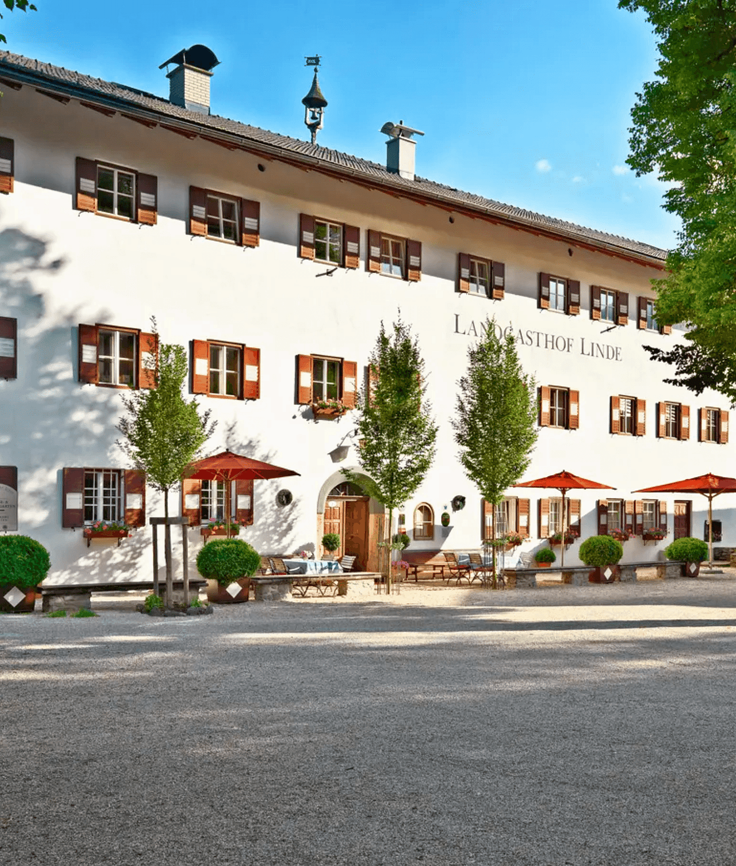 1 Landgasthof Linde Crops Website 540 x 636.png