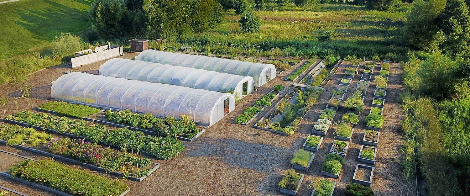 Hofke van Bazel Moestuin 1920 x 800 pixels.jpg