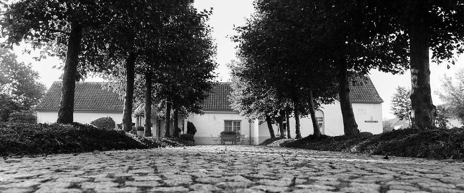 Hotel Duinhof buitenaanzicht 1920 x 800 pixels.jpg