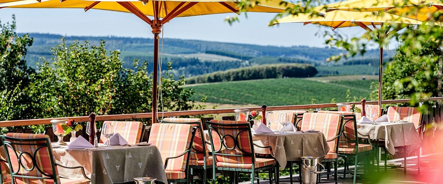 Hotel Ohlenbach terras 1920 x 800 pixels.jpg
