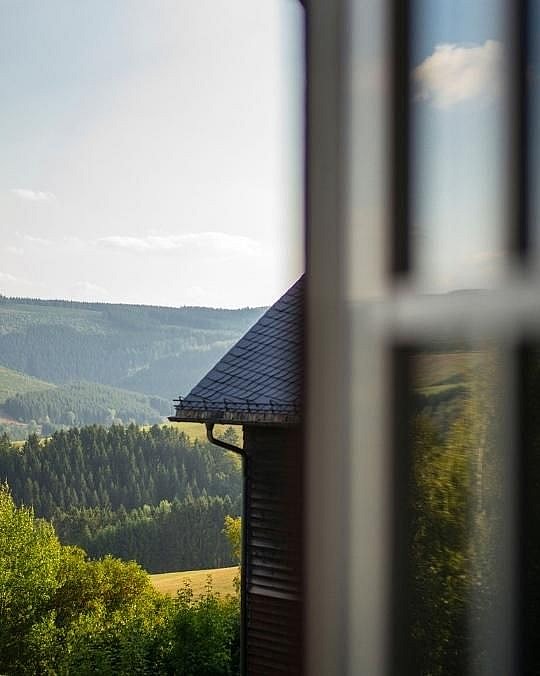 Hotel Waldhaus Ohlenbach - 540 x 676.jpg