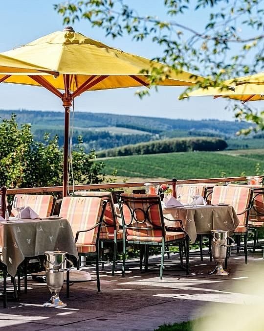 Hotel Waldhaus Ohlenbach - 540 x 676 (5).jpg