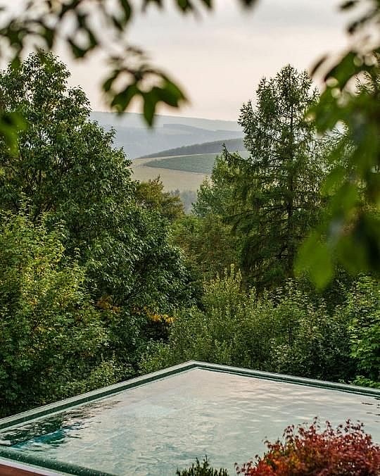 Hotel Waldhaus Ohlenbach - 540 x 676 (6).jpg